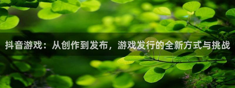 新宝GG官网注册平台是什么：抖音游戏：从创作到发布，游戏发行的全新方式与挑战