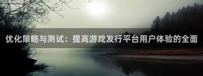 新宝GG是哪个国家的衣服品牌：优化策略与测试：提高游戏发行平台用户体验的全面