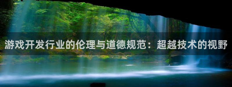 新宝GG啤酒多少钱一箱：游戏开发行业的伦理与道德规范：超越技术的视野