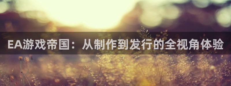 新宝GG运动装有哪些品牌：EA游戏帝国：从制作到发行的全视角体验