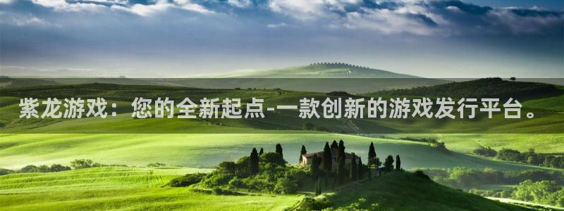 新宝GG官网平台怎么样啊：紫龙游戏：您的全新起点-一款创新的游戏发行平台。
