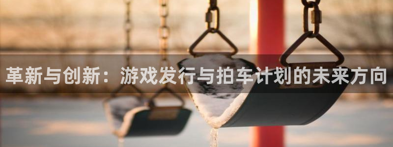 新宝GG啤酒多少钱一箱：革新与创新：游戏发行与拍车计划的未来方向