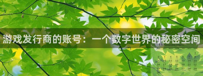 新宝GG服装品牌怎么样：游戏发行商的账号：一个数字世界的秘密空间