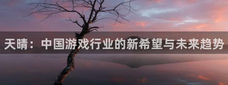 四川新宝GG科技有限公司：天晴：中国游戏行业的新希望与未来趋势
