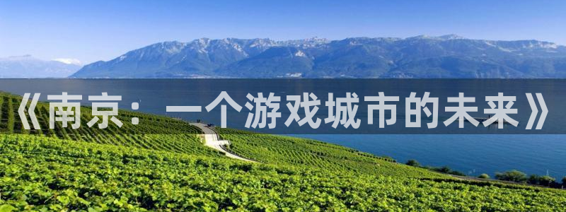 新宝GG智得官网