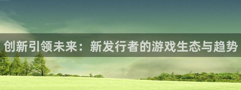 新宝GG涂料怎么样