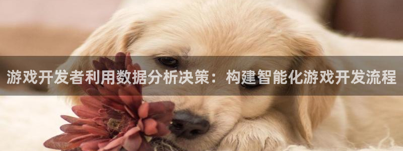 新宝GG官网登录注册账号是什么样的：游戏开发者利用数据分析决策：构建智能化游戏开发流程