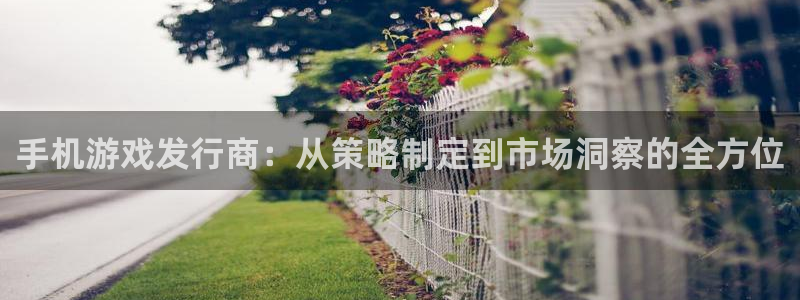 新宝GG子文化游戏