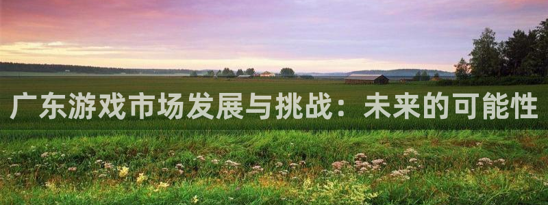 新宝GG官网登录注册不了：广东游戏市场发展与挑战：未来的可能性