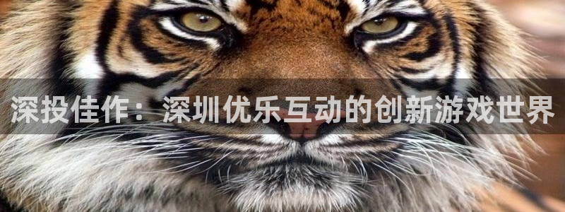 陕西新宝GG子文化创意骗局：深投佳作：深圳优乐互动的创新游戏世界